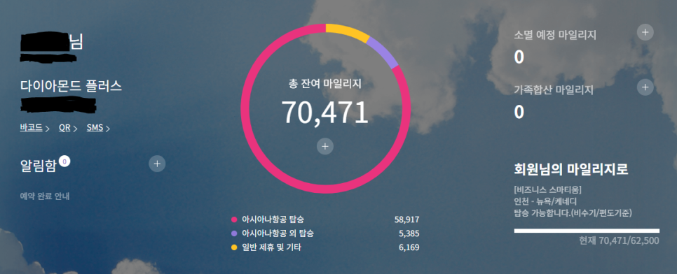 아시아나항공 마일리지 등급