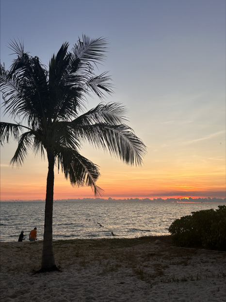 솔바이멜리아 푸꾸옥 리조트 해변