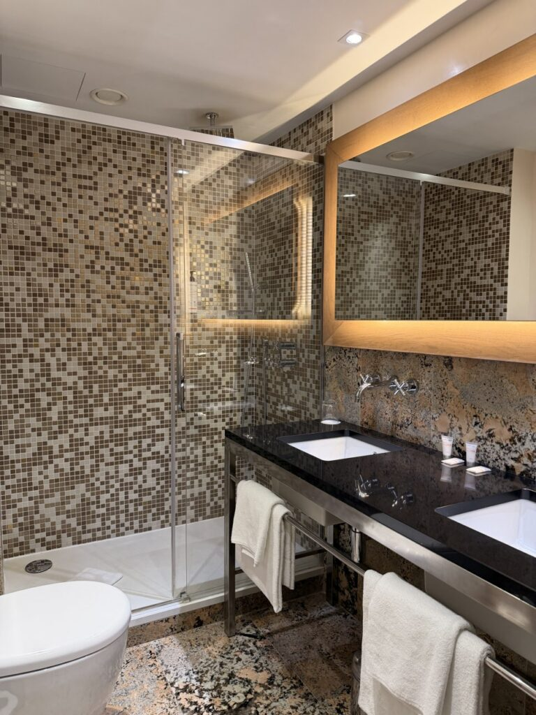 호텔 로열 프라하 화장실