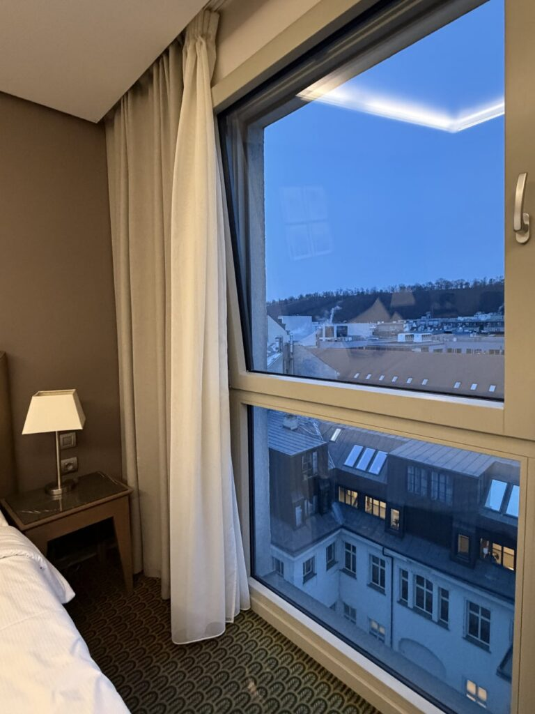 호텔 로열 프라하 창문